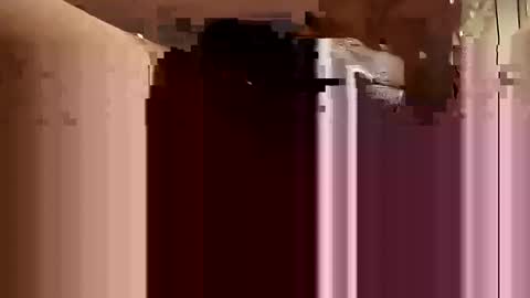 Aprilia online show from 02/22/25, 01:00