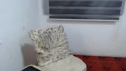 Snapshot of cuppycupcake_2 chatting on 01/10/26, 02:13 Xyrien online show from 01/10/26, 02:13