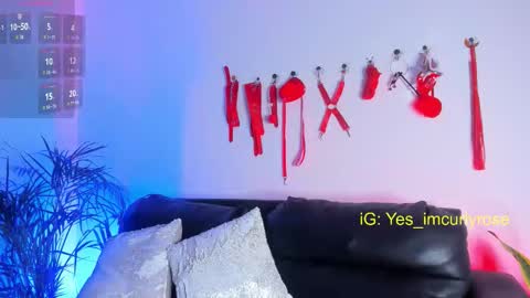 Snapshot of curlyrose_ chatting on 11/24/25, 11:26 Rose online show from 11/24/25, 11:26