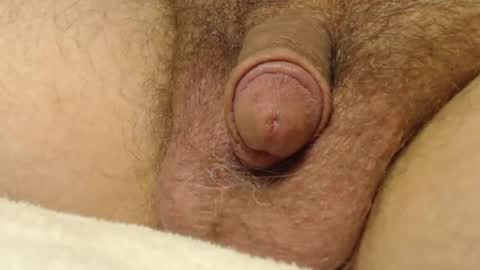 Snapshot of curve66 chatting on 10/22/25, 01:06 curve66 online show from 10/22/25, 01:06