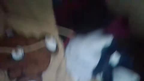 dahlia -kim online show from 12/04/24, 08:40