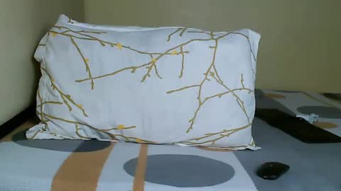 V EE online show from 01/11/25, 09:26