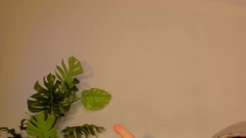 Snapshot of cute_ebonny chatting on 01/22/25, 03:31 Stacy online show from 01/22/25, 03:31