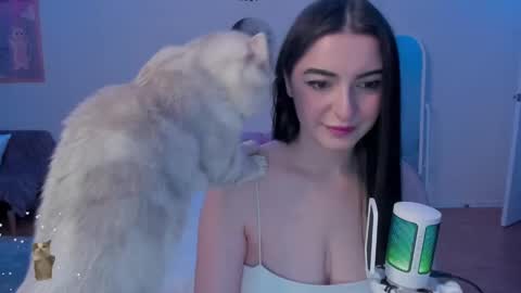 Bb online show from 12/11/24, 01:26