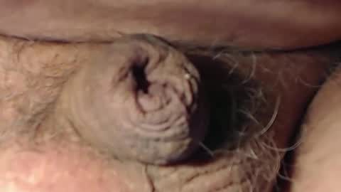 cute_stud1010 online show from 02/22/26, 03:10