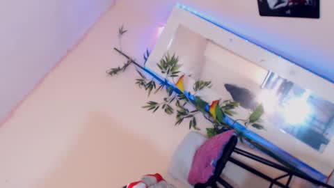 Snapshot of cute_ts_charlott chatting on 12/17/24, 03:17 danny online show from 12/17/24, 03:17