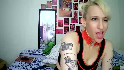 Bella online show from 03/15/26, 12:38