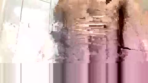 Snapshot of cvc2025 chatting on 11/10/25, 12:20 cvc2025 online show from 11/10/25, 12:20