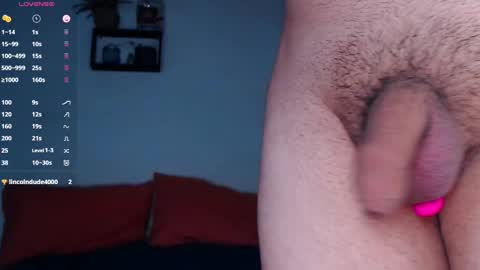 Snapshot of cyber_adan1 chatting on 12/19/24, 12:23 cyber online show from 12/19/24, 12:23