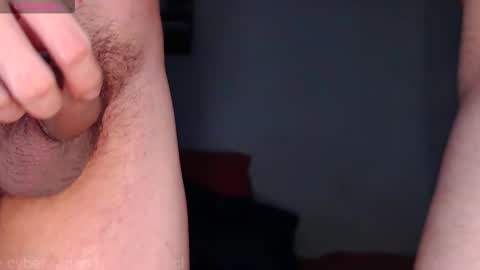 Snapshot of cyber_adan1 chatting on 12/26/24, 12:49 cyber online show from 12/26/24, 12:49