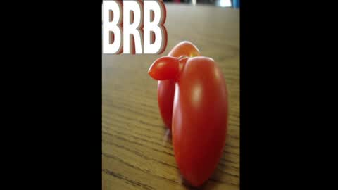 Snapshot of d_j_strokes chatting on 04/15/26, 04:19 Dave online show from 04/15/26, 04:19