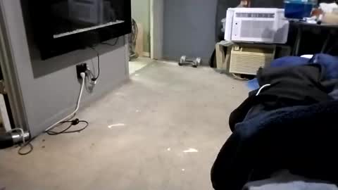 Snapshot of da941987 chatting on 12/02/24, 05:48 da941987 online show from 12/02/24, 05:48