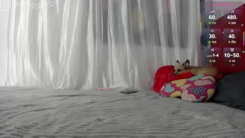 Snapshot of daani_hott chatting on 01/09/26, 04:15 daani_hott online show from 01/09/26, 04:15