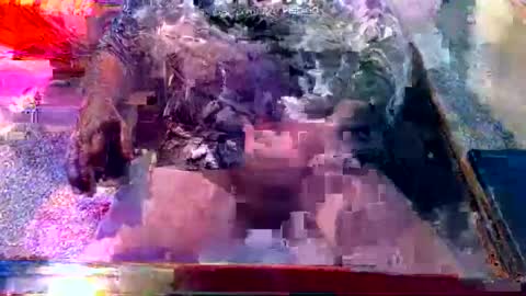 Snapshot of dabaatendae chatting on 02/02/25, 10:17 dabaatendae online show from 02/02/25, 10:17