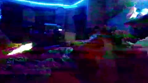 dabangaz4life online show from 12/07/24, 08:44