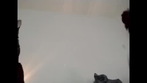 daddi_stick online show from 05/23/26, 08:35