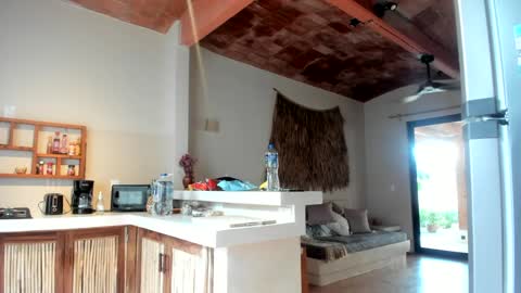 Snapshot of daddy_daycare_ chatting on 03/11/25, 01:45 Belle Email daddydaycarecb online show from 03/11/25, 01:45