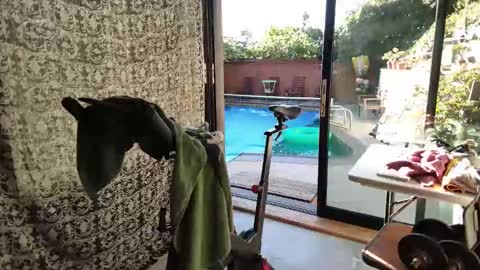 Snapshot of daddycache chatting on 11/09/25, 03:43 bas online show from 11/09/25, 03:43