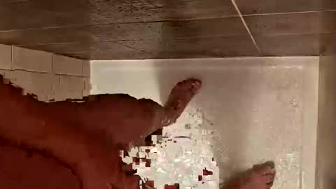 Snapshot of daddycoolm chatting on 10/29/25, 07:10 LetsHaveFunTogether online show from 10/29/25, 07:10