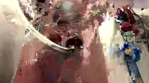 Daddy online show from 01/05/25, 04:16