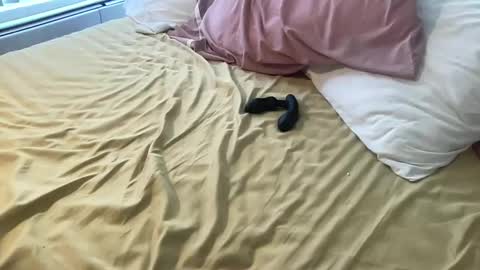 dadstrokin online show from 03/08/26, 05:28