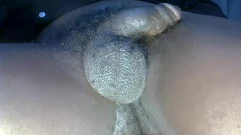 Snapshot of dadyschlong chatting on 06/10/26, 11:13 GIANT Lamar 72 ft tall with a 10 inches BBC hard quick cumshot in private show lets go online show from 06/10/26, 11:13