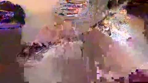 Snapshot of dafo1980 chatting on 04/17/26, 12:30 dafo1980 online show from 04/17/26, 12:30