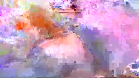 Snapshot of dafo1980 chatting on 04/20/26, 12:19 dafo1980 online show from 04/20/26, 12:19