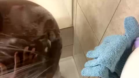 dafoxxx876 online show from 11/24/25, 08:03