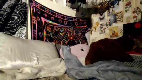 Snapshot of daintydarlingxoxo chatting on 02/21/25, 06:48 DaintyDarling online show from 02/21/25, 06:48