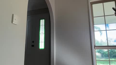 Snapshot of daisyfayer chatting on 03/15/26, 10:05 Daisy online show from 03/15/26, 10:05