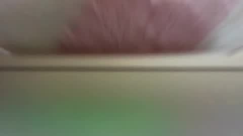 Snapshot of daisyfayer chatting on 03/19/26, 11:36 Daisy online show from 03/19/26, 11:36