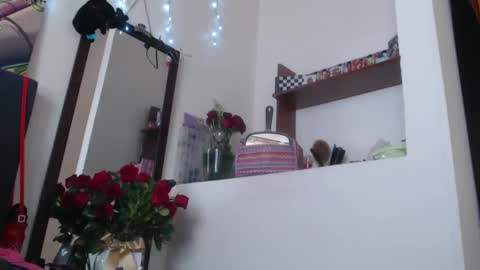 Snapshot of dakota_dark_ chatting on 02/17/25, 04:26 Dakota online show from 02/17/25, 04:26