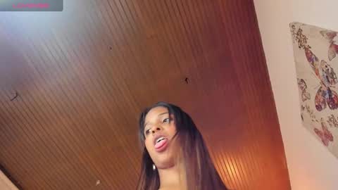 Snapshot of dakota_ds chatting on 12/29/24, 02:49 dakota_ds online show from 12/29/24, 02:49