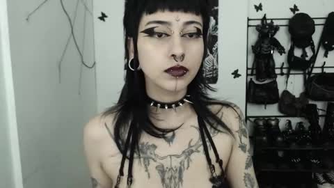 Snapshot of dakota_krall_ chatting on 11/25/25, 02:44 dakota online show from 11/25/25, 02:44