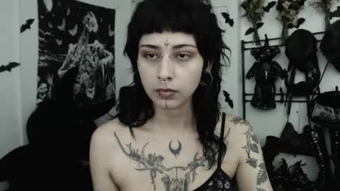 dakota online show from 06/11/26, 02:44