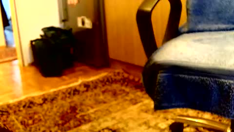 Snapshot of dammerl6 chatting on 04/06/26, 05:36 Dammerl online show from 04/06/26, 05:36