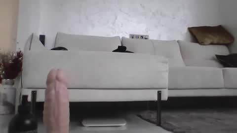 Dan online show from 01/15/25, 09:13