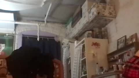 Snapshot of danceissexisbeauty2 chatting on 12/04/24, 08:12 Your submissive patient online show from 12/04/24, 08:12