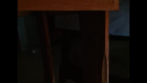 dangerhook online show from 11/24/25, 11:32