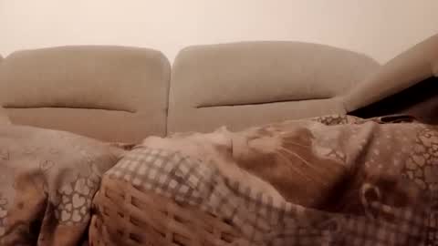 Snapshot of dani225812 chatting on 11/15/25, 07:21 Dani225812 online show from 11/15/25, 07:21