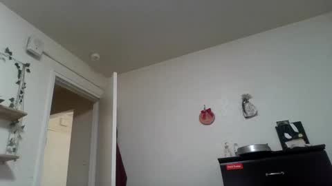 Snapshot of dani_alaska chatting on 02/24/25, 01:53 Dani online show from 02/24/25, 01:53