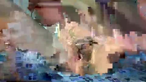 daniel_griffin online show from 05/20/26, 06:47