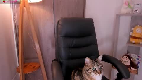 Danielle Rose online show from 11/02/25, 08:22