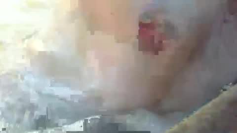 dankz4two0 online show from 01/11/25, 03:09