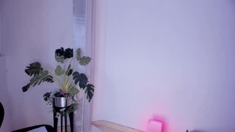 Paulina online show from 03/02/25, 04:39