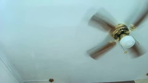 Dannamunoz130 online show from 04/29/26, 12:20
