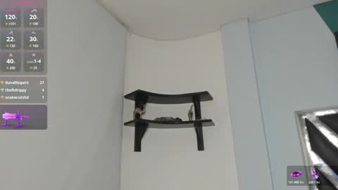 Danna online show from 12/19/24, 06:56