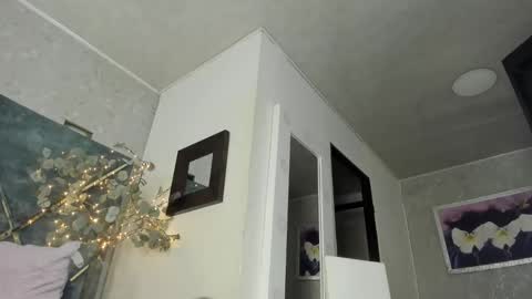 Snapshot of dannafalco25 chatting on 12/17/24, 06:31 Valery Danna online show from 12/17/24, 06:31