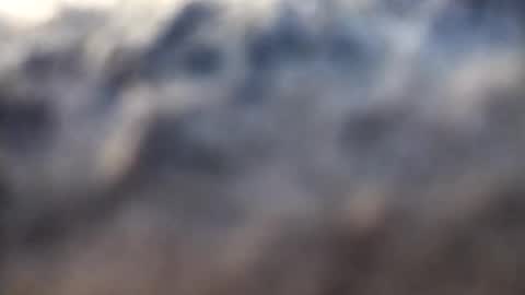 Snapshot of dannowisc chatting on 02/17/26, 02:52 dannowisc online show from 02/17/26, 02:52